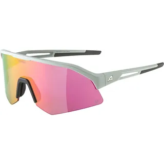 Alpina Sonic HR Q 2 Sportbrille (Größe One Size, grau)