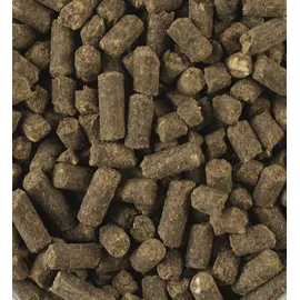 Atcom Horse Senior-Vital 10 kg