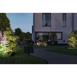 Paulmann Beleuchtungssystem Plug & Shine Solarpanel 41,8 cm spritzwassergeschützt IP44 Anthrazit