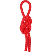 Salewa Red 9.6 Kletterseil (Größe 60M, rot)