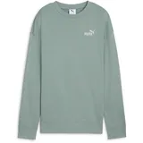 Essentials Small No 1 Logo French Terry Crew Damen 30 green moon M