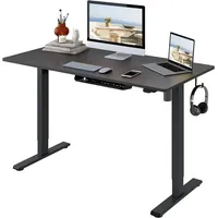 FLEXISPOT Elektrischer Schreibtisch höhenverstellbar mit Platte Sitz- und Stehschreibtisch 2 Höhen mit Monomotor, Home Office 120 x 60 cm (Schwarze)