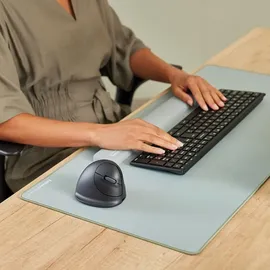 Fellowes Breyta Plus Ergonomische Maus schwarz