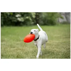 Jolly Pets Tierball Jolly Football Orange (Vanilleduft) 20 x 12 cm
