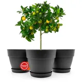 BigDean Blumentopf 47 x 39,5 cm Anthrazit