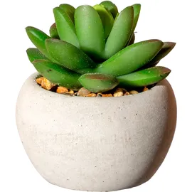 Creativ green Künstliche Zimmerpflanze CREATIV GREEN "Sukkulenten", grün, H:9cm Ø:7cm, Kunststoff, Kunstpflanzen, Künstliche Zimmerpflanze, Deko-Pflanze im Zementtopf, 6er Set