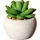 Creativ green Künstliche Zimmerpflanze CREATIV GREEN "Sukkulenten", grün, H:9cm Ø:7cm, Kunststoff, Kunstpflanzen, Künstliche Zimmerpflanze, Deko-Pflanze im Zementtopf, 6er Set