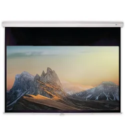 DELUXX Advanced Rolloleinwand Slowmotion 16:9 Mattweiss Polaro 266 x 148 cm