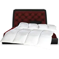 Bestgoodies Betten Set - Daunenfüllung - 135x200cm + 80x80cm - 50% Daunen / 50% Feder