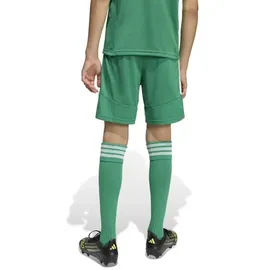 adidas Tiro 26 League Team Green/White 140