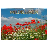 Calvendo Wildblumen 2026 (Wandkalender 2026 DIN A3 quer), CALVENDO