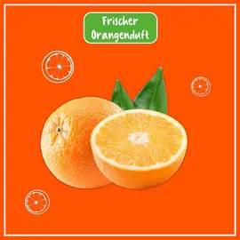 polyboy Holz Reiniger Konzentrat 500 ml