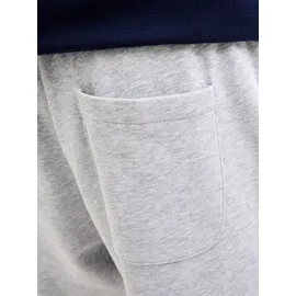 JACK & JONES JPSTBRADLEY Sweat Shorts SN GMS
