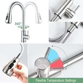 luxuskollektion Ausziehbarer Wasserhahn Küche Hochdruck Silber