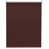 Lichtblick Thermo-Rollo Klemmfix 75 x 150 cm braun
