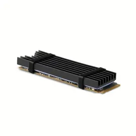 AXAGON CLR-M2L6 Computerkühlsystem Solid-State-Laufwerk Kühlkörper/Radiator Schwarz (CLR-M2L6)