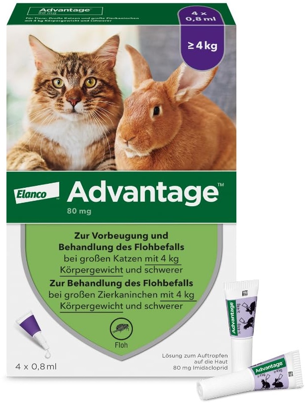 Elanco Advantage Spot-On 80 für große Katzen und Zierkaninchen ab 4 bis 8 kg, wirksamer Schutz vor Flöhen und Flohbefall bis 4 Wochen, einfache Spot-on-Anwendung, 4 Pipetten mit 0,8 ml Lösung