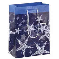 5 SIGEL Geschenktaschen Shining Star Motiv 17,0 x 23,0 cm