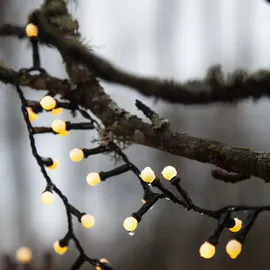 Star Trading LED-Lichterkette Berry Mini 6 m Schwarz Warmweiß