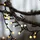 Star Trading LED-Lichterkette Berry Mini 6 m Schwarz Warmweiß