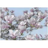 KOMAR Magnolia 368 x 254 cm