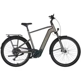 Pegasus Premio EVO 10 Lite 800 Wh Herren braun 2025, 28" - 60 cm