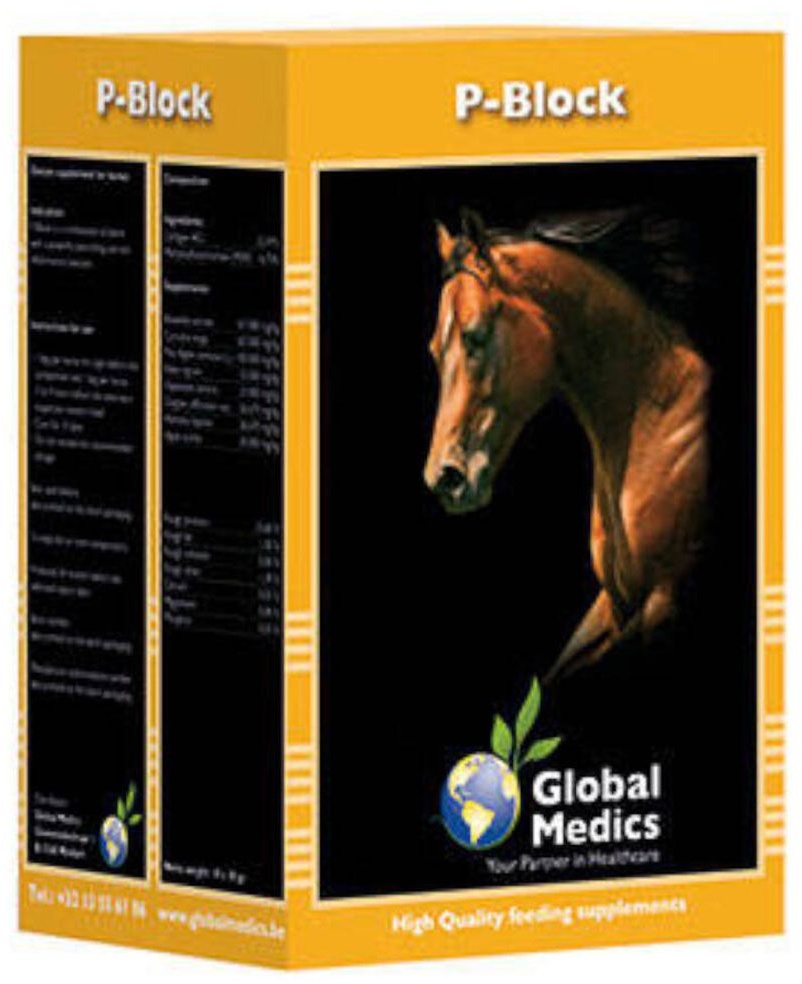 Global Medics P-Block Pferde