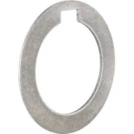 FP Fräserdornring Din2084a 40x0,05x54mm Fortis
