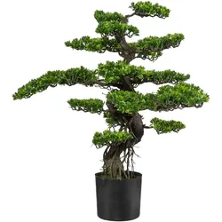 CREATIV green künstliche Pflanze Bonsai, ca 90cm, grün, Kunststoff, im Topf 19x17cm schwarz
