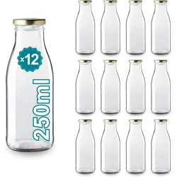 Espírito rebelde 12 leeren Glasflaschen à 250 ml mit Deckel - Glasflaschen für Saft, Milch, Grillen, Saucen