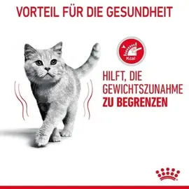 Royal Canin Ultra Light in Gelee 12 x 85 g