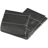 PRO PLUS ProPlus Bodenplane Eco, 2,50x4,00M