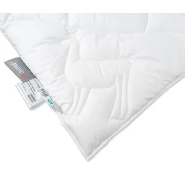 Badenia Trendline Alpaka Bettdecke warm 155 x 220 cm Testurteil Haus & Garten Test (1,2) | Weiß