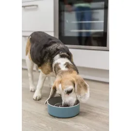 Trixie Slow Feeding Napf, grau/blau