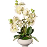 Creativ green Kunstorchidee Orchidee Phalaenopsis im Keramiktopf, Creativ green, Höhe 50 cm grün