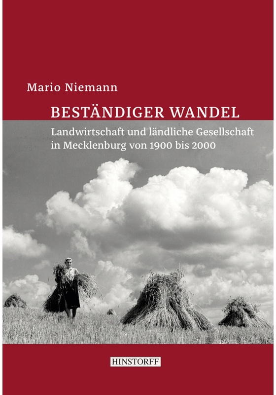 Beständiger Wandel - Mario Niemann  Gebunden