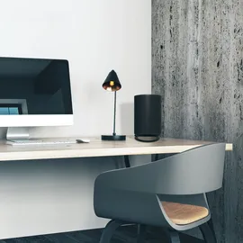 Flexson Schreibtischständer für ERA100, Schwarz