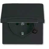 Busch-Jaeger Steckdoseneinsatz IP44 Anthrazit 20 EUGK-35-101