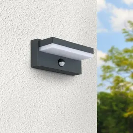 Longlife LED Außenwandleuchte UV-beständig 12 W 4000 K inkl. Bewegungsmelder anthrazit
