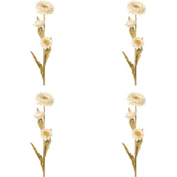 Kunstblume CREATIV GREEN "Strohblume", beige (creme), H:61cm, Obermaterial: 95% Polyethylen, 5% Polyester, Kunstpflanzen