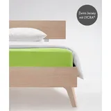 FLEURESSE Comfort 001117 Jersey 200 x 200 - 200 x 220 cm apfelgrün