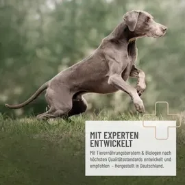 reavet Kieselerde Pulver 400 g