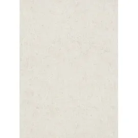 Erismann Vliestapete SAVANNA 0,53 m x 10 m 0,00 kg beige 1041814