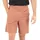 Black Diamond Dirtbag Kurze Hose Braun XL