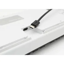 Ducky One 2 Backlit PBT