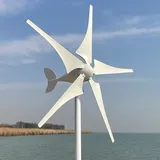 600W Windturbine mit 5 Flügeln 12V 24V 48V Windkraftanlage mit MPPT Regler geräuscharm Windgenerator für Zuhause (24V mit Controller)