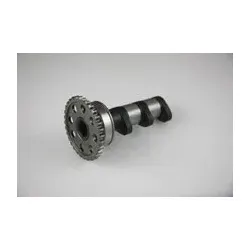 Nockenwelle Auslass Hot Cams Stage 1 KTM