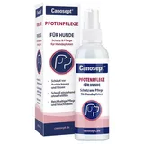 ardap - Pfotenpflege 75 g