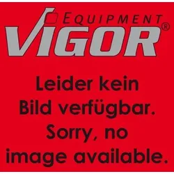 Lenkrolle (Paar) ∙ V6031-2