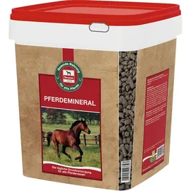 Salvana Pferdemineral 4 kg